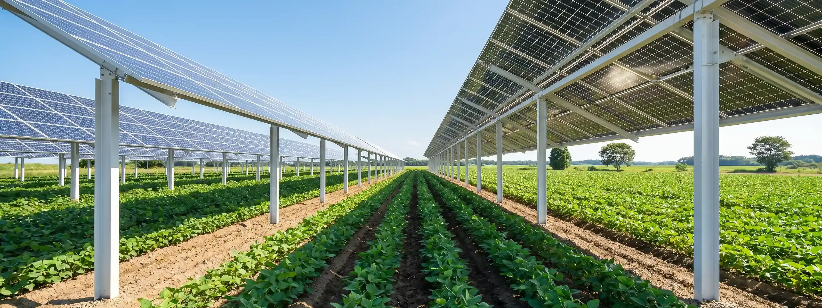 Promoting carbon neutrality in the world